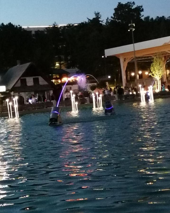 ホテル Standardna Soba Zlatibor Centar 205 エクステリア 写真